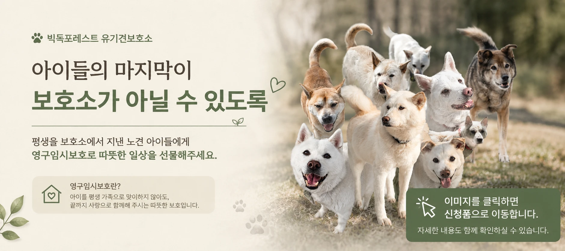 경기 파주 유기견 보호소 빅독포레스트 전경
