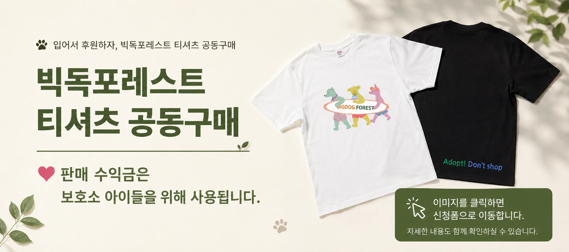 빅독포레스트 보호소에서 지내는 유기견들